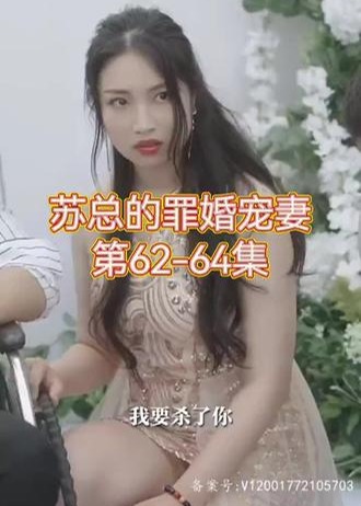 苏总的罪婚宠妻【1-72合集】